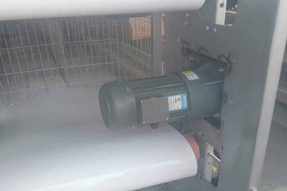 養雞自動化清糞減速機設備
